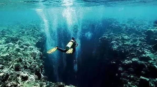 宁夏回族自治区医疗保障局局长杨淑丽当选为自治区政协副主席